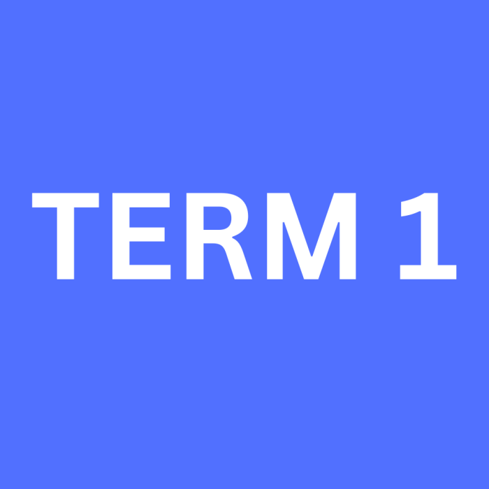 Term 1